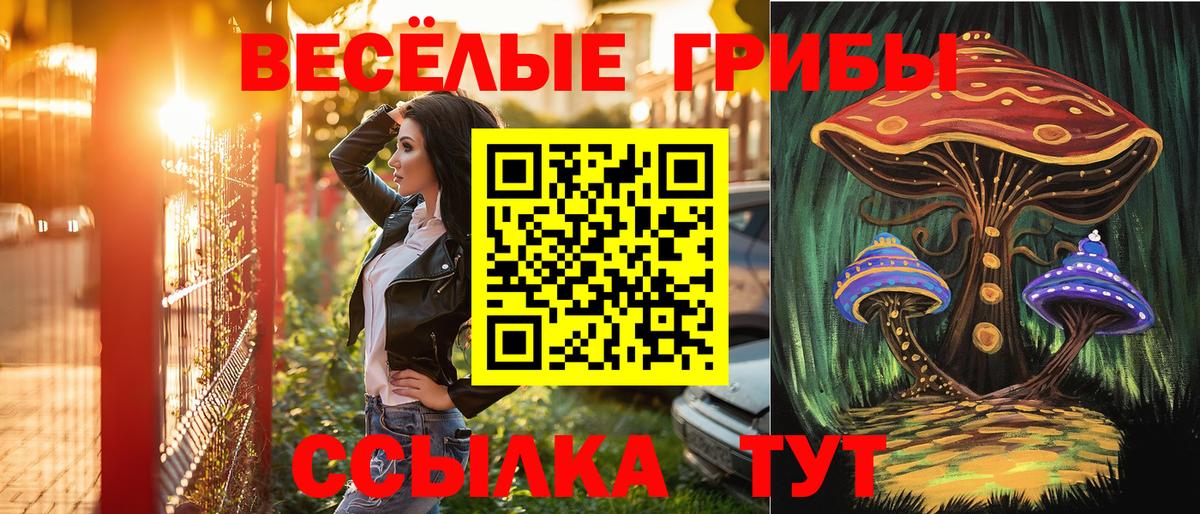 Псилоцибиновые грибы MAGIC MUSHROOMS  Вход с VPN  Донской 